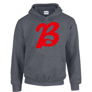 1 HOODIE LOGO