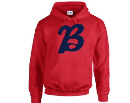 1 HOODIE LOGO – Bild 2